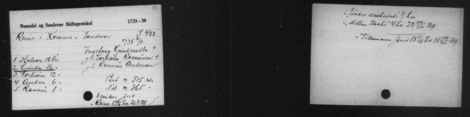 URN:NBN:no-a1450-sk20100224641650.jpg